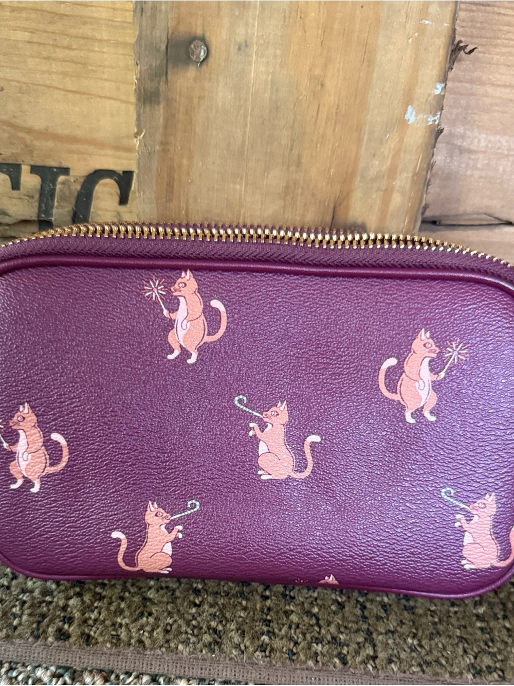 Coach Party Cat Crossbody Pouch - Picture 3 of 10